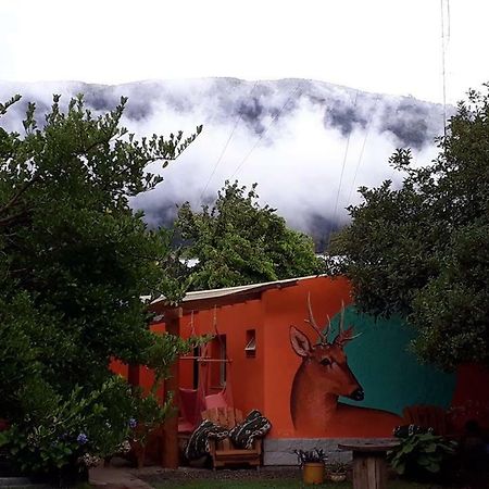 La Estacion Hostel Lago Puelo Zewnętrze zdjęcie