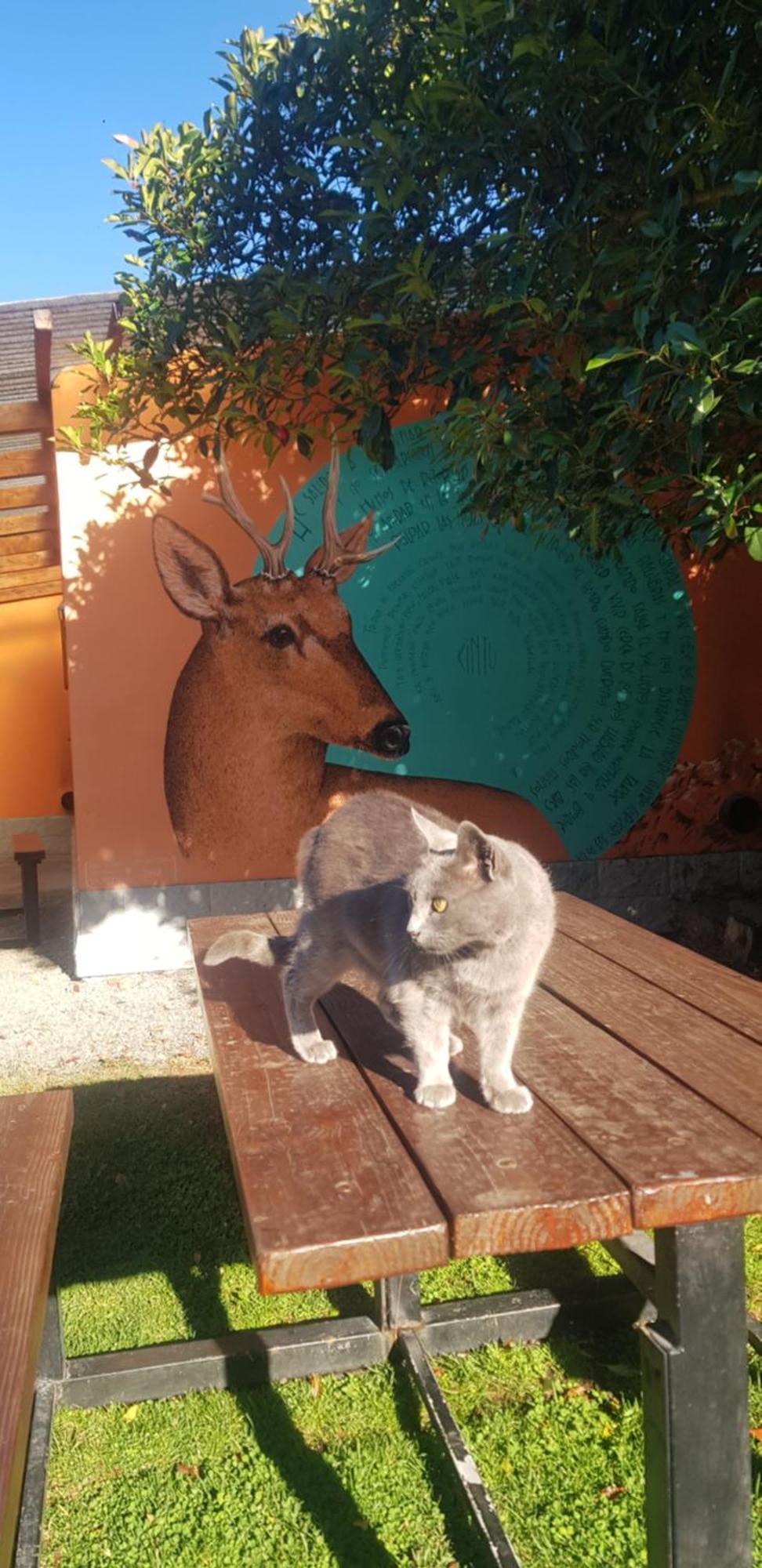 La Estacion Hostel Lago Puelo Zewnętrze zdjęcie
